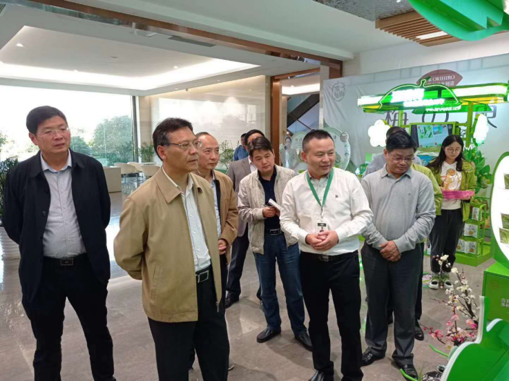 芜湖市委副书记冯克金来繁调研青梅产业发展情况