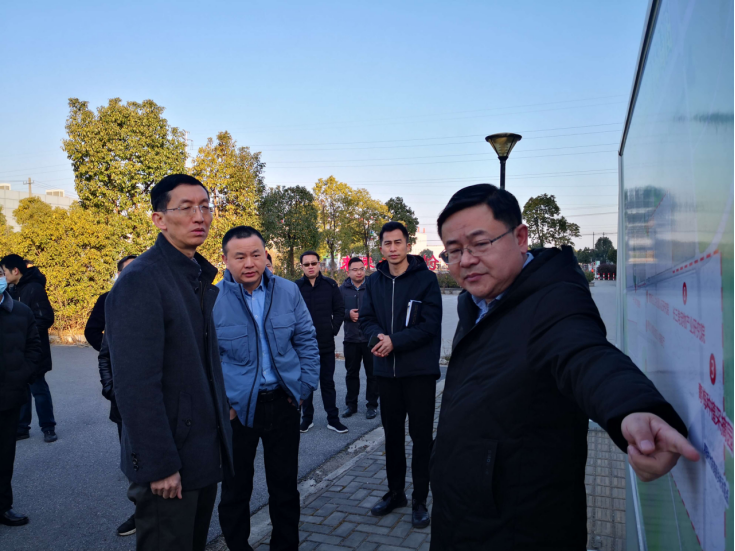 区委书记向继辉调研青梅健康小镇规划建设_芜湖市繁昌